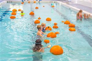 Floating Pumpkin Patch