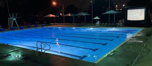 Moonlight Swim