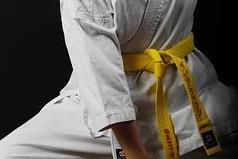 Yellow belt in karate punching